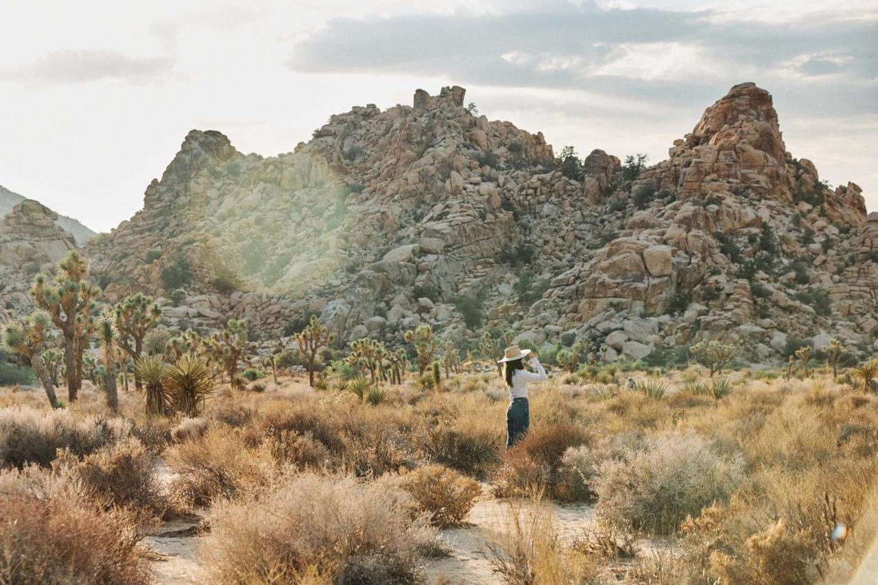 Field Station Joshua Tree Hotel Yucca Valley Buitenkant foto